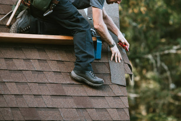 Best Roof Maintenance Services  in Feasterville, PA